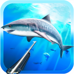 spearfishing-marine-life
